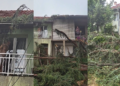 Bor od 30 metara pao na dve kuće u Leskovcu: „Dve decenije upozoravamo, niko nije reagovao!“ – VIDEO