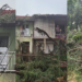 Bor od 30 metara pao na dve kuće u Leskovcu: „Dve decenije upozoravamo, niko nije reagovao!“ – VIDEO