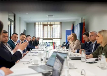 Gasna elektrana u Nišu do 2030. godine?