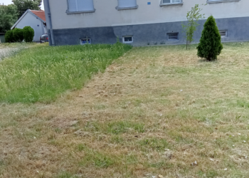 Pola travnjaka-cela priča ili Baš me briga, nije moje nego komšije sa kojim ne govorim