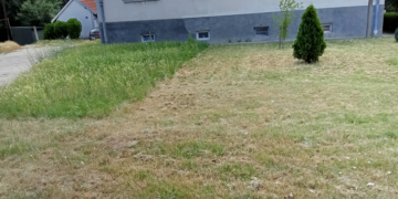 Pola travnjaka-cela priča ili Baš me briga, nije moje nego komšije sa kojim ne govorim