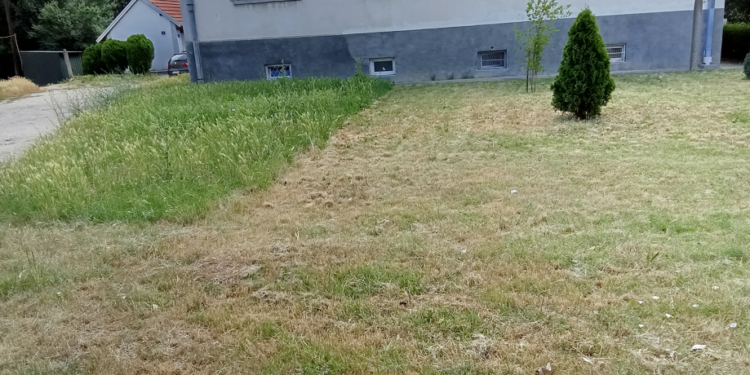 Pola travnjaka-cela priča ili Baš me briga, nije moje nego komšije sa kojim ne govorim