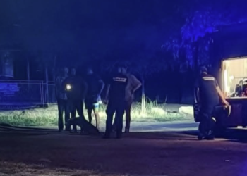 Vatrogasci spasili psa iz korita potoka