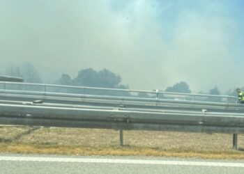 Otežan saobraćaj prema Nišu zbog požara pored puta