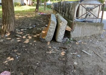 Posle pisanja Rešetke, deponija u Radničkoj očišćena, ali na kratko