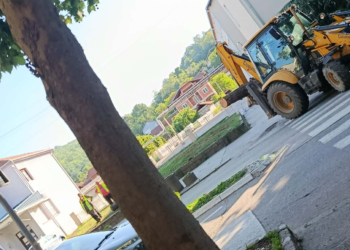 Meštani traže objašnjenje: Ko je odlučio da poseče veliko četinarsko drvo ispred škole u Grdelici?