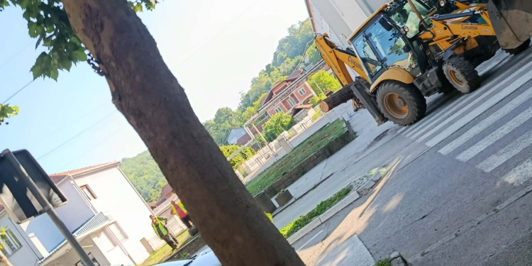 Meštani traže objašnjenje: Ko je odlučio da poseče veliko četinarsko drvo ispred škole u Grdelici?