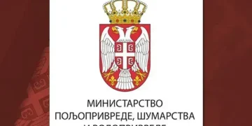 Ograničeno kretanje u šumama širom Srbije, kazne do tri miliona dinara: Nove mere zbog afričke kuge svinja
