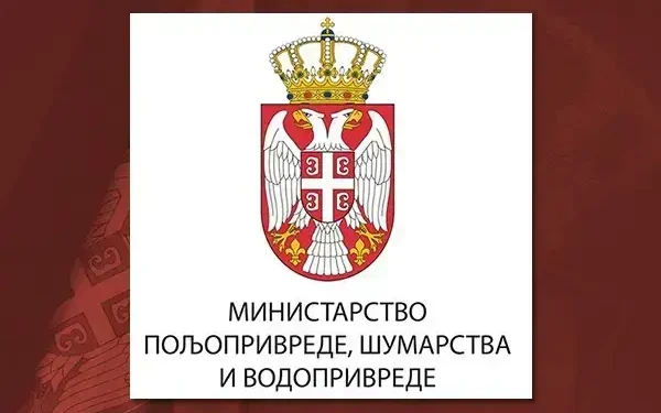 Ograničeno kretanje u šumama širom Srbije, kazne do tri miliona dinara: Nove mere zbog afričke kuge svinja