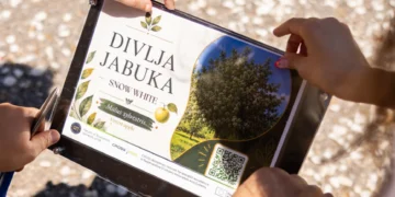 Studenti postavili QR kodove ispred drveća u centru Niša: Park postao „živa učionica“