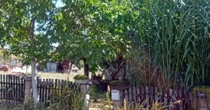 Sin noćas ubio majku, pa se sam prijavio policiji