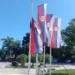 Izresane i pocepane zastave na sve strane: Hoće li policija da reaguje kao u slučaju Radovana Radovanovića