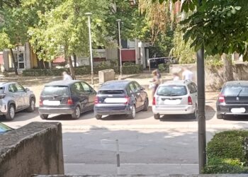 Čitaoci prijavljuju: Grupa od 15 ljudi obilazi zgrade u Dubočici i beleži izjašnjavanje građana da li će glasati za Vučića
