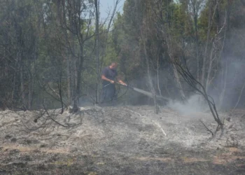 Požar u Gornjem Brestovcu lokalizovan: U toku je dogašavanje
