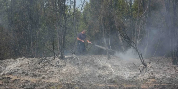 Požar u Gornjem Brestovcu lokalizovan: U toku je dogašavanje