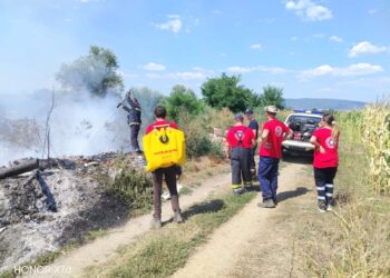 Još jedan požar na otvorenom kod Leskovca: Gorela divlja deponija
