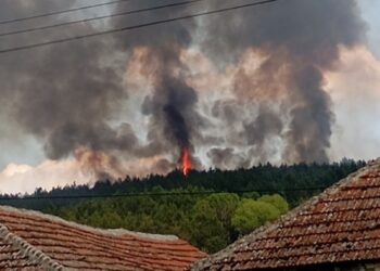 Požar kod Leskovca se razbuktava: Vatra se približila kućama u Razgojni i Donjoj Lokošnici, vetar otežava gašenje – VIDEO
