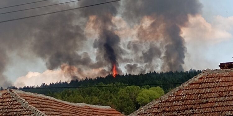 Požar kod Leskovca se razbuktava: Vatra se približila kućama u Razgojni i Donjoj Lokošnici, vetar otežava gašenje – VIDEO