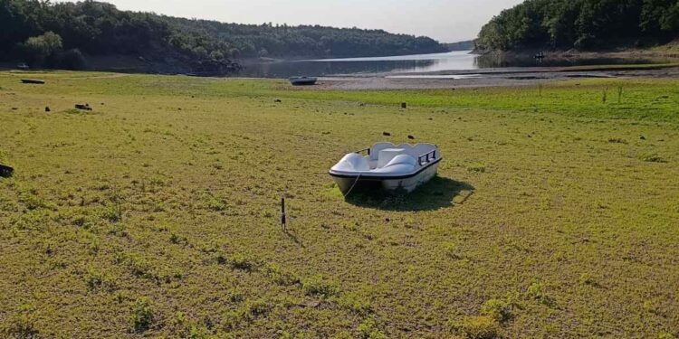 Jelena Milošević: Brestovačko jezero dodatno presušilo zbog MHE „Slavnik“ u vlasništvu porodice upravnika prokupačkog zatvora