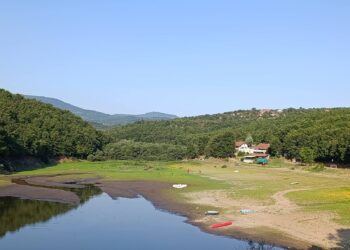 Jelena Milošević: Brestovačko jezero dodatno presušilo zbog MHE „Slavnik“ u vlasništvu porodice upravnika prokupačkog zatvora