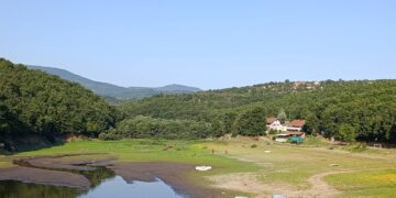 Jelena Milošević: Brestovačko jezero dodatno presušilo zbog MHE „Slavnik“ u vlasništvu porodice upravnika prokupačkog zatvora