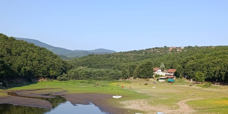 Jelena Milošević: Brestovačko jezero dodatno presušilo zbog MHE „Slavnik“ u vlasništvu porodice upravnika prokupačkog zatvora