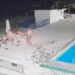 Snimci otkrivaju šta se dešavalo na bazenu pre nego što je ispuštena voda: Grupe mladih ulazile tokom noći, jedna osoba ušla i u mašinsku sobu