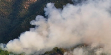 Požar zahvatio Park prirode Stara planina: Vatrogasci i „Srbijašume“ od jutros na terenu
