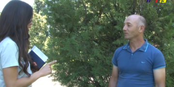 Umalo izgubio život nakon uboda stršljena: „ne znam kako me je Hitna našla u šumi“ – VIDEO