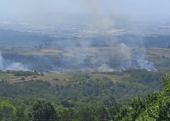 Vatra zahvatila obradive površine i voćnjake kod Leskovca, požar za sada pod kontrolom – VIDEO