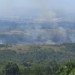 Vatra zahvatila obradive površine i voćnjake kod Leskovca, požar za sada pod kontrolom – VIDEO