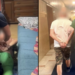 Leskovčanin uhapšen zbog objava u kojima je pozivao na ubistvo državnih funkcionera