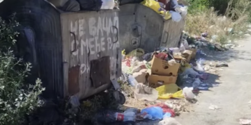 Brestovac zatrpan smećem: Meštani traže reakciju nadležnih i komunalne inspekcije