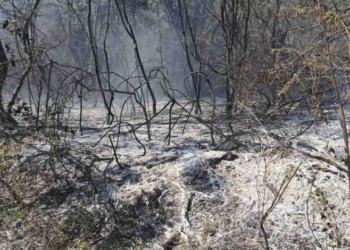 Još jedan požar na otvorenom kod Leskovca: Apel građanima zbog ekstremnih temperatura