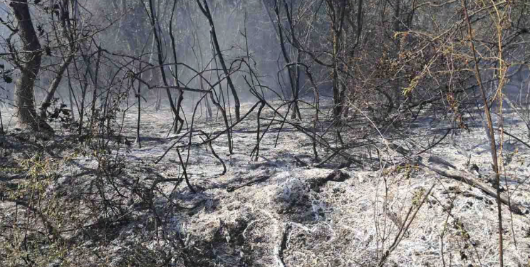 Još jedan požar na otvorenom kod Leskovca: Apel građanima zbog ekstremnih temperatura