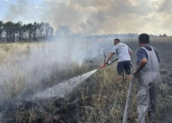 Meštani, vatrogasci i dobrovoljci zajedno protiv vatrene stihije