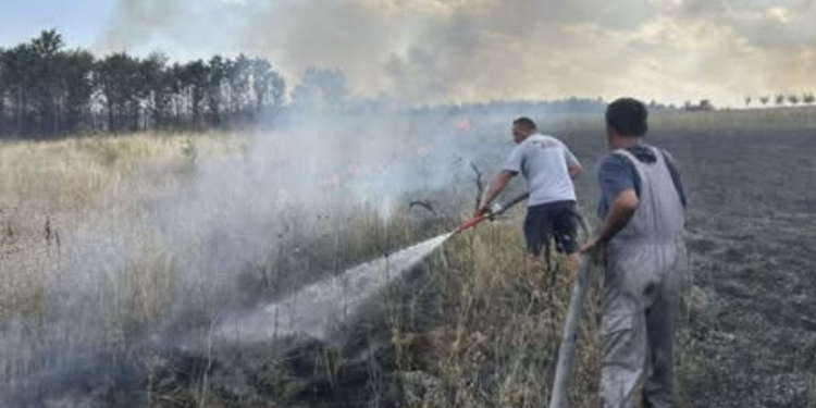 Meštani, vatrogasci i dobrovoljci zajedno protiv vatrene stihije