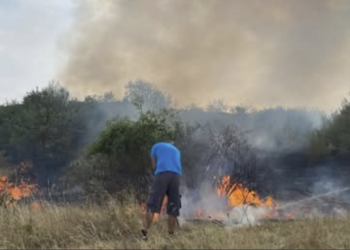 HEROJI MESECA Stefan i Srđan spasili komšiju okruženog vatrom: „Napravili smo prolaz lopatama“