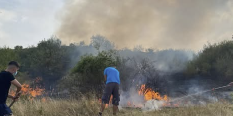 HEROJI MESECA Stefan i Srđan spasili komšiju okruženog vatrom: „Napravili smo prolaz lopatama“