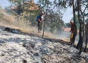 Požari kod Leskovca zahvatili voćnjake i nisko rastinje, vatrogasci i meštani gase vatru