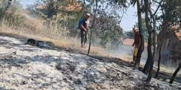 Požari kod Leskovca zahvatili voćnjake i nisko rastinje, vatrogasci i meštani gase vatru