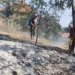 Požari kod Leskovca zahvatili voćnjake i nisko rastinje, vatrogasci i meštani gase vatru