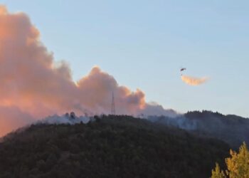 Požar kod Bovanskog jezera se ne širi, izgorele tri vikendice: „Uzrok ljudski faktor“?