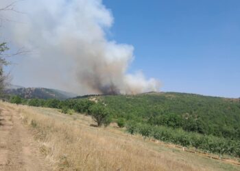Policija potvrdila: Aktivni požari u opštinama Medveđa i Bojnik