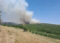 Požar kod Slišana: Brzo se širi, apel meštana vatrogascima za pomoć