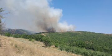Požar kod Slišana: Brzo se širi, apel meštana vatrogascima za pomoć