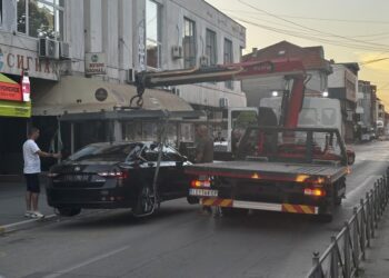 Poslanik iz Novog Sada besan zbog „pauka“ na Roštiljijadi: „Bar sedam dana nemojte da proganjate građane“