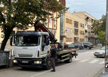 Pauk u Leskovcu radiće do jedan iza ponoći tokom Roštiljijade