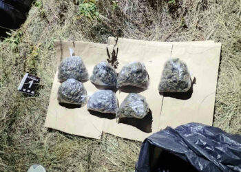 Sedamnaestogodišnjak na poljani krio marihuanu, vagicu i metke
