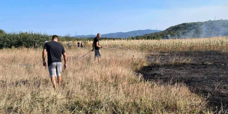 Požar se proširio prema pruzi kod Podruma, meštani pomažu vatrogascima